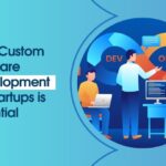 custom software development for startups