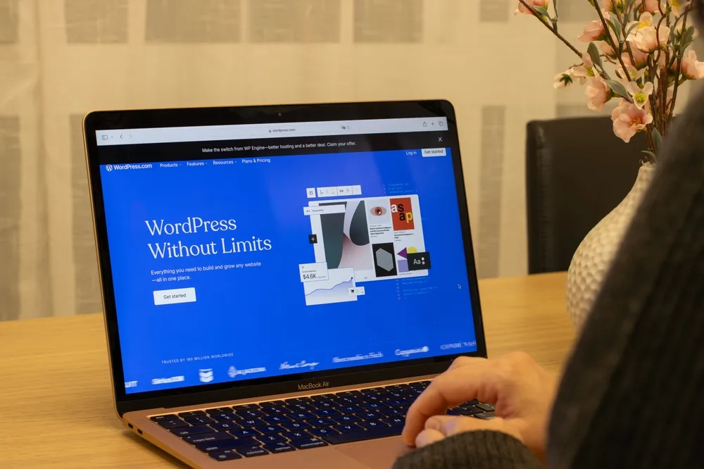 Website%20Design%20And%20Digital%20Marketing%20Services%20Agency%20Delhi