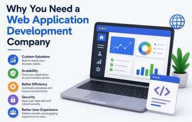 Why You Need a Web Application Development Company